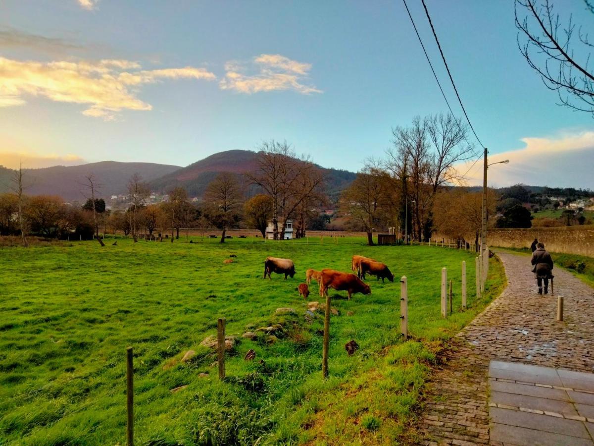 Apartmán Solaina Parking Gratuito Viveiro Exteriér fotografie